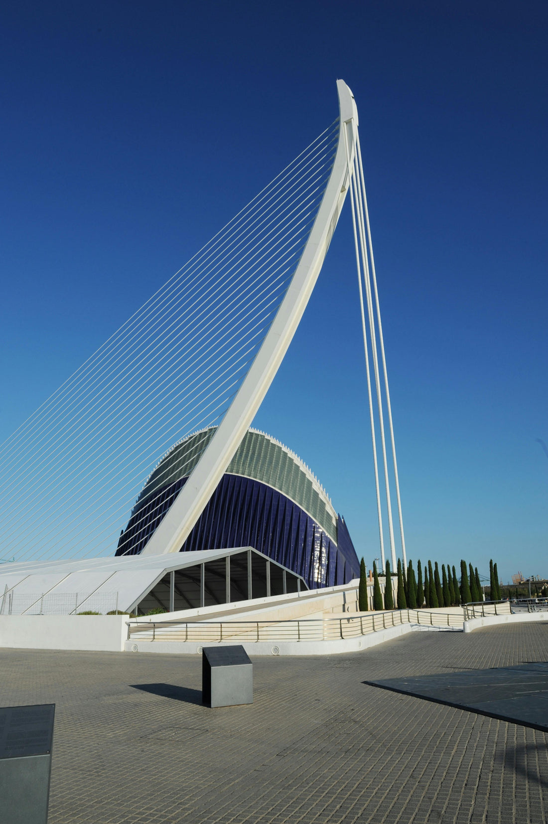 Ciudad de las Ciencias Valencia with Kids — Stroller Tips and What to Expect
